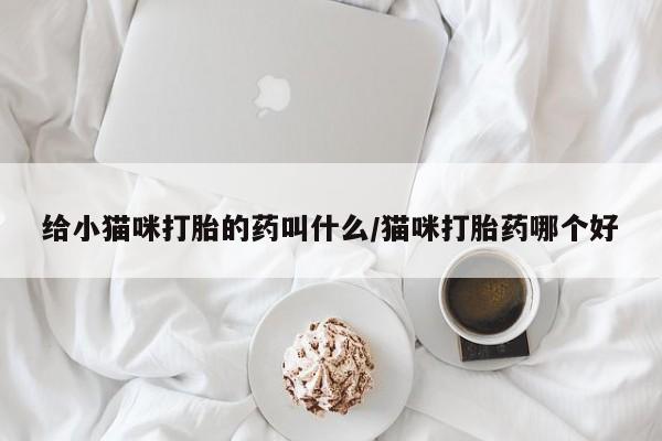 流产药如何购买给小猫咪打胎的药叫什么/猫咪打胎药哪个好