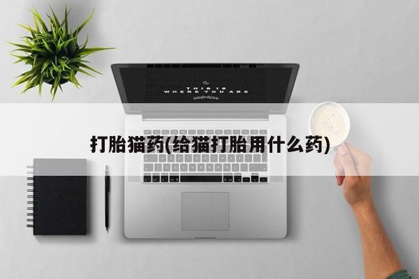 流产药如何购买打胎猫药(给猫打胎用什么药)